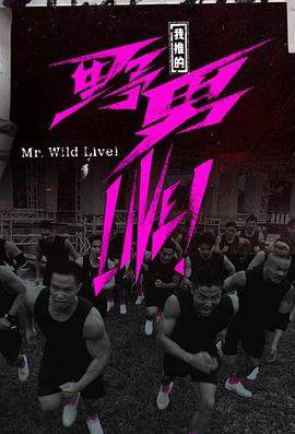 我推的野男LIVE!粤语海报
