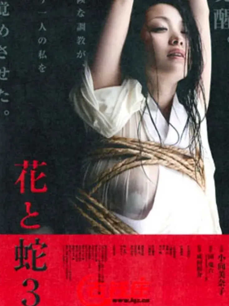 花与蛇3:白衣绳奴海报