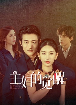 主妇的觉醒海报