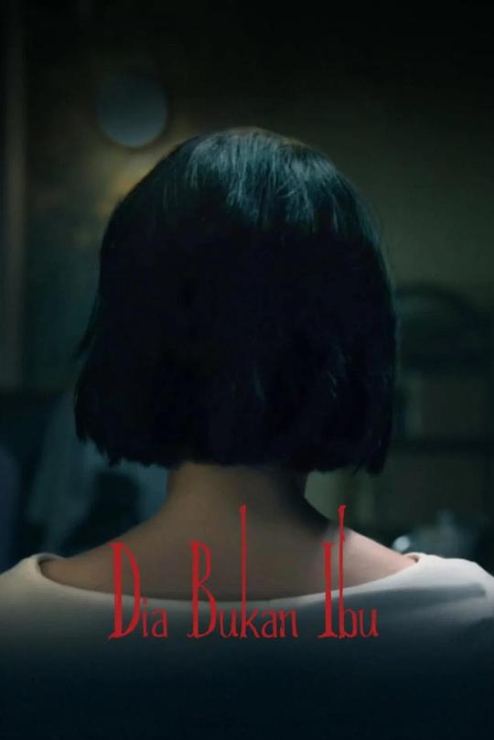 她不是我妈妈海报