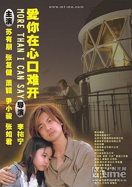 爱你在心口难开海报