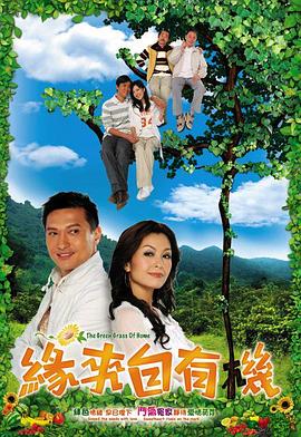 缘来自有机国语海报
