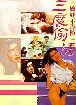 三度偷情海报