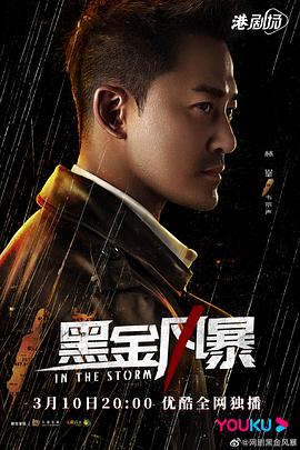 黑金风暴粤语海报