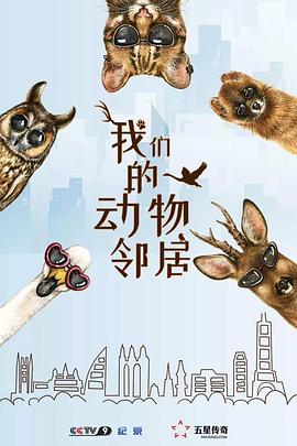 我们的动物邻居粤语海报