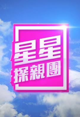 星星探亲团粤语海报